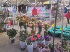 -中环花鸟鱼虫市场