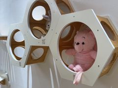 -1013 PET SHOP精品宠物商店(丁香店)