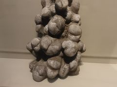 -舟山博物馆