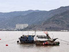 -北岐滩涂