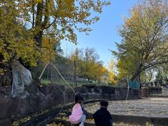 -金堂县云顶石城风景区