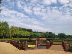 -东郊湿地公园