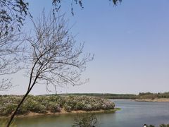 -丁香湖公园