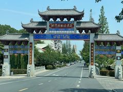 -泗洪洪泽湖湿地景区