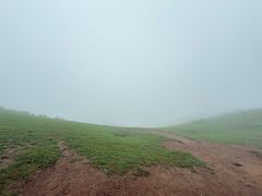 -大姆山草场