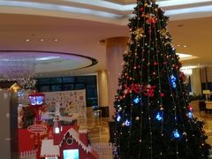 -同里湖度假村(二期店)