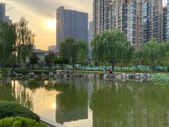 -木塔寺遗址生态公园