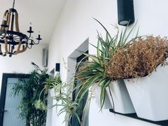 -素心小筑(后沙裕镇店)