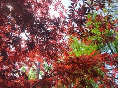 -大连植物园