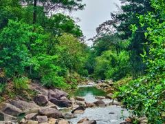 -广州白江湖森林公园