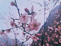 -圣莲山风景区