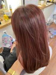 -THE LOG SALON 记录