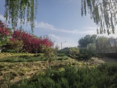 -元大都城垣遗址公园