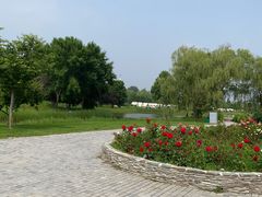 -圣露庄园·露营·烤肉·亲子