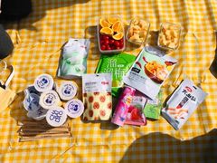 -上海共青森林公园