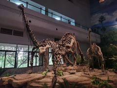 -自贡恐龙博物馆