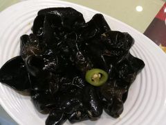 凉拌木耳-南来顺饭庄·清真(南菜园店)