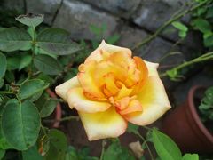 -芜湖方特东方神画