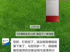 -天鹅到家·保姆月嫂育儿嫂(天河店)