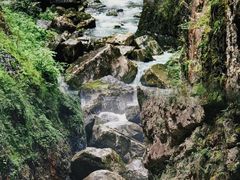 -鹿院坪生态旅游景区