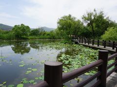 -长兴太湖图影湿地文化园