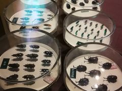 -陕西自然博物馆