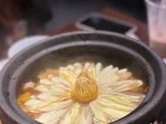 出水芙蓉-映水芙蓉(长宁来福士店)