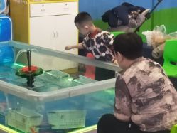 点击看大图 -万达宝贝王(西宁店)