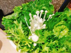 -大碗先生(万家丽店)