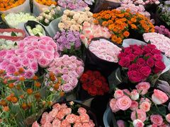 -双季花艺园艺市场(浦东店)