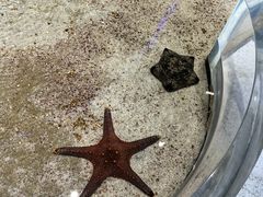 -绿色星球动物主题公园