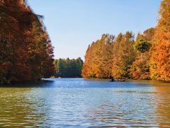 -上海海湾国家森林公园