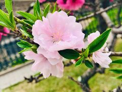 -玲珑塔公园