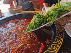 -映山红鲜货火锅(鱼嘴店)