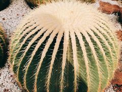 -南通洲际绿博园