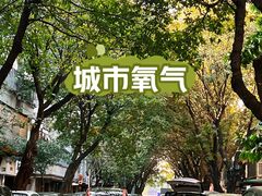 -垂虹公园