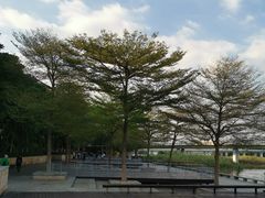 -厦门园林博览苑