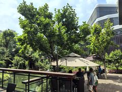 -上海虹桥宾馆味翠餐厅