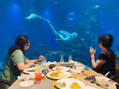 -海棠湾洲际-涛·海底餐厅·美人鱼·自助餐·海底隧道