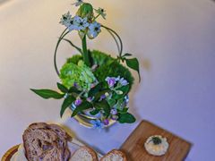 -蝶舍·MAISON PAPILLON