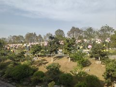 -武汉园博园(武汉自然博物馆)