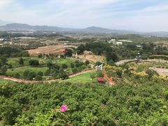 -密云玫瑰情园