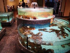 -西贝海鲜汇(槐安路店)