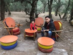 -北海金海湾红树林生态旅游区