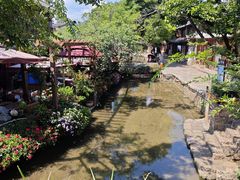 -隔壁老王·家常云南菜(花巷店)