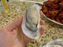 -禾斗海鲜自助(市南银座店)