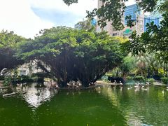 -九龙公园