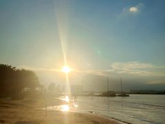 -瑶湖郊野森林公园