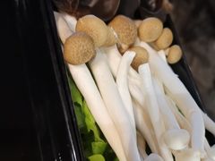 -手选潮汕鲜活牛肉火锅(二七广场店)