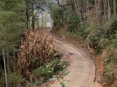 -闪电修企业手机电脑回收(西湖风景名胜区店)